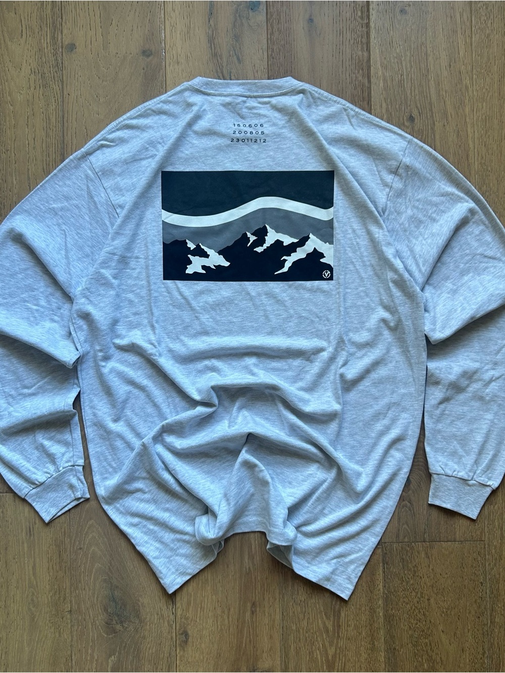 Vans Mountain Backprint Long Sleeve Tee - Light Ash Gray